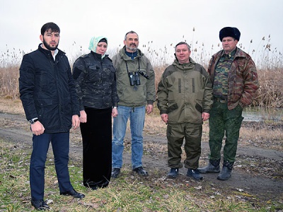 В Чеченской Республике подтверждено обитание чистокровного северо-кавказского фазана