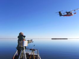Беспилотный летательный аппарат в орнитологии