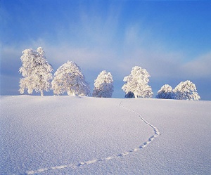 Информационное сообщение